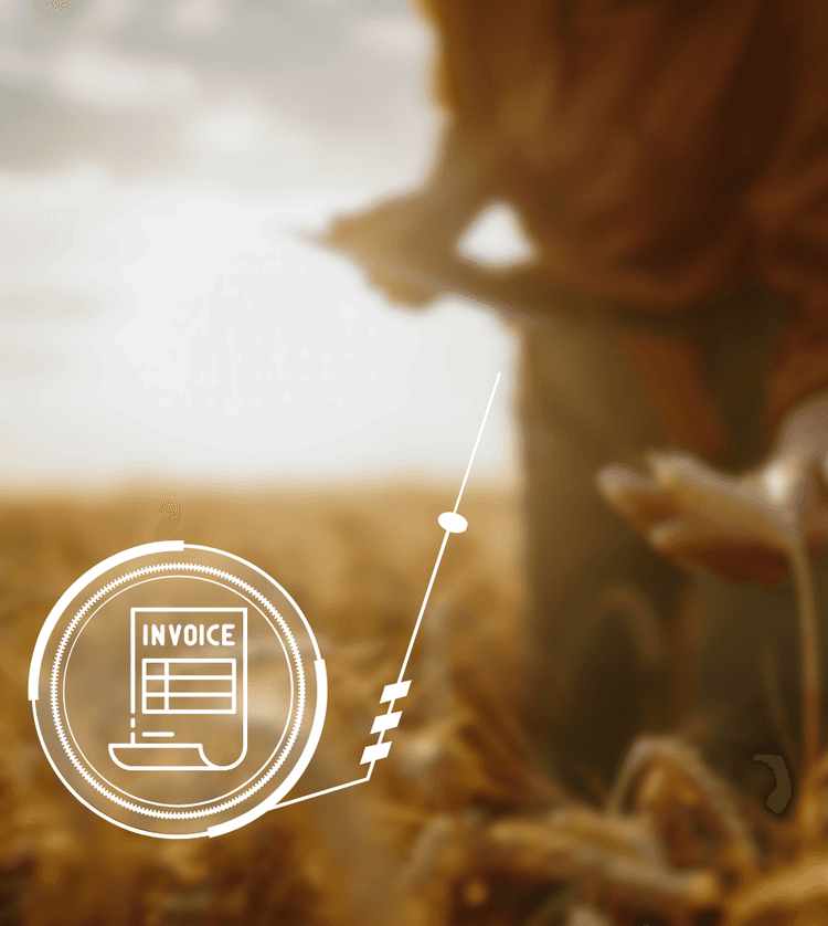 Workflow 03